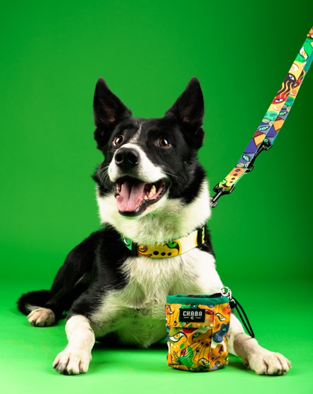 CHABA Obroża regulowana Story III XL Jumbo - obrazek 4