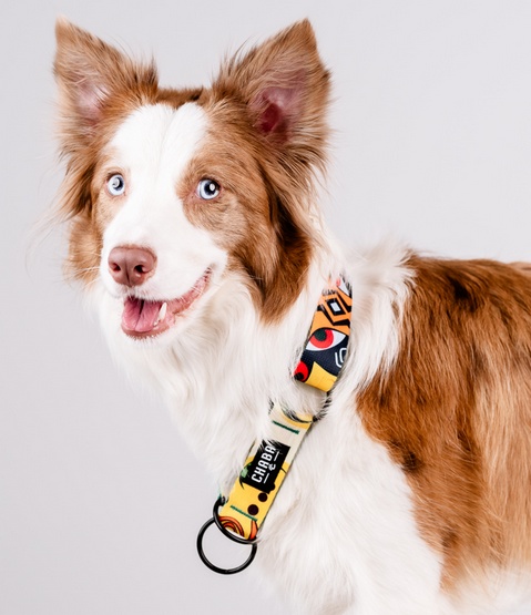 CHABA Obroża półzaciskowa Story III M Jumbo - obrazek 4