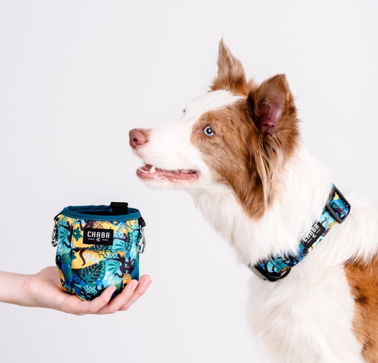 CHABA Saszetka na smakołyki Story III Multi 2w1 Carnival - obrazek 4