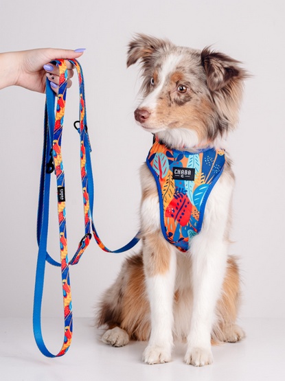 CHABA Smycz regulowana Story III S 16mm/260cm Aussie - obrazek 5