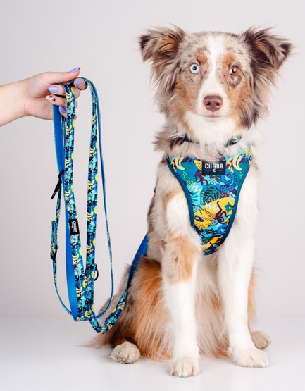 CHABA Smycz regulowana Story III M 20mm/260cm Carnival - obrazek 5