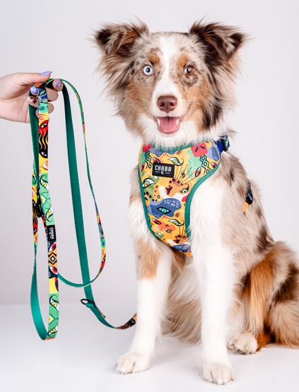 CHABA Smycz regulowana Story III S 16mm/260cm Jumbo - obrazek 5