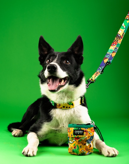 CHABA Smycz regulowana Story III S 16mm/260cm Jumbo - obrazek 6