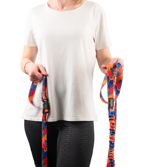 CHABA Smycz z amortyzatorem do biegania Story III L 25mm/280cm Aussie - obrazek 4