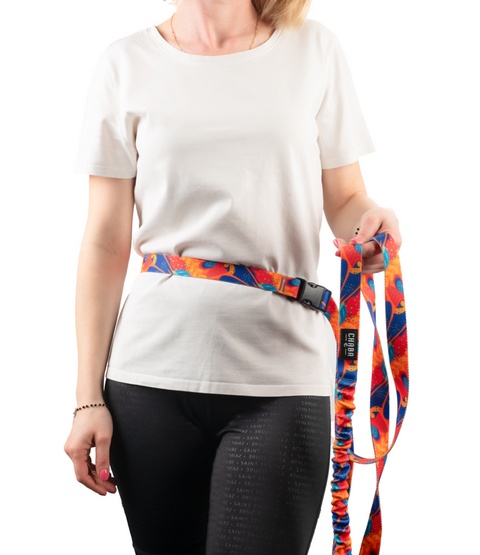 CHABA Smycz z amortyzatorem do biegania Story III L 25mm/280cm Aussie - obrazek 5