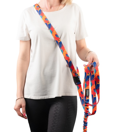 CHABA Smycz z amortyzatorem do biegania Story III L 25mm/280cm Aussie - obrazek 6