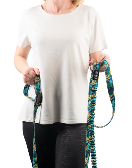 CHABA Smycz z amortyzatorem do biegania Story III M 25mm/280cm Carnival - obrazek 4