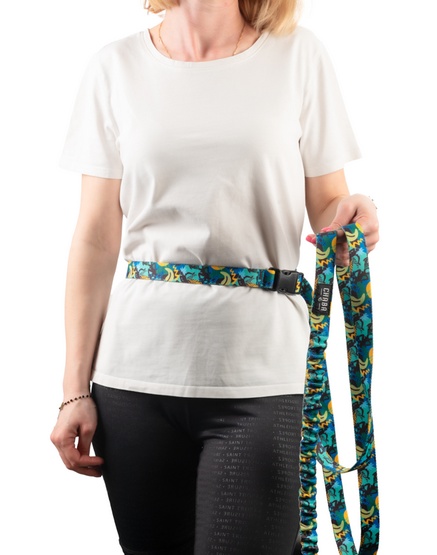 CHABA Smycz z amortyzatorem do biegania Story III M 25mm/280cm Carnival - obrazek 5