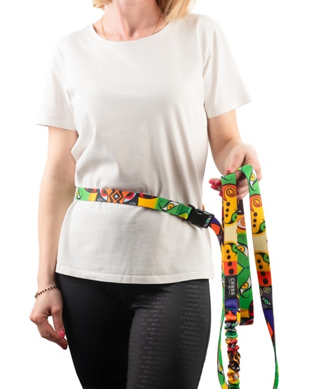 CHABA Smycz z amortyzatorem do biegania Story III L 25mm/280cm Jumbo - obrazek 5