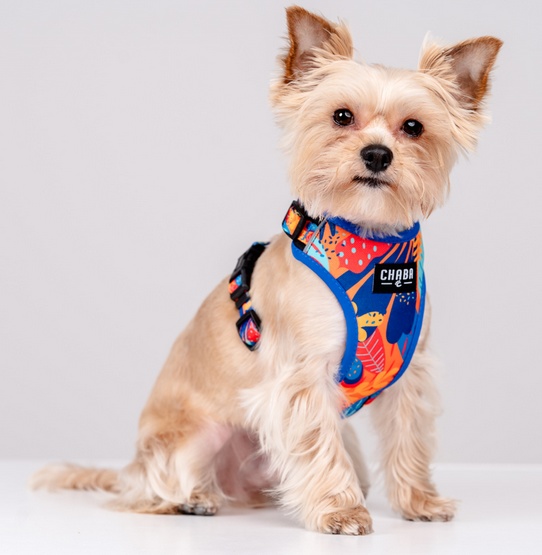 CHABA Szelki Guard Comfort Story III bezuciskowe S 1,6cm Aussie - obrazek 5