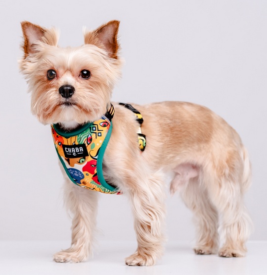 CHABA Szelki Guard Comfort Story III bezuciskowe M 1,6cm Jumbo - obrazek 5