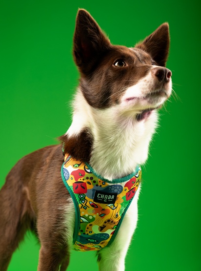 CHABA Szelki Guard Comfort Story III bezuciskowe M 1,6cm Jumbo - obrazek 6