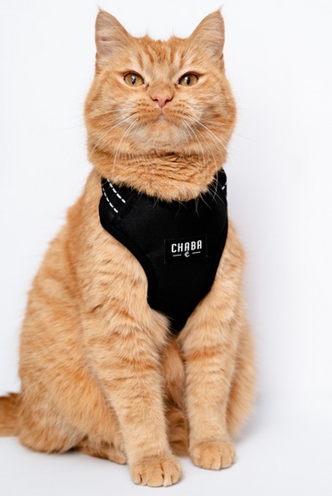 CHABA Szelki Guard Comfort Classic S czarne - obrazek 7