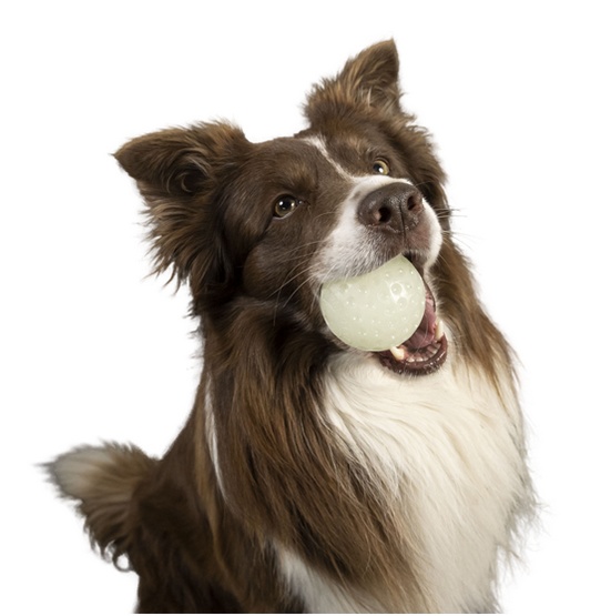 Kiwi Walker Let's Play Glow Ball Maxi piłka - obrazek 2