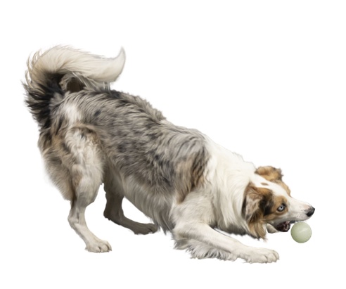 Kiwi Walker Let's Play Glow Ball Maxi piłka - obrazek 3