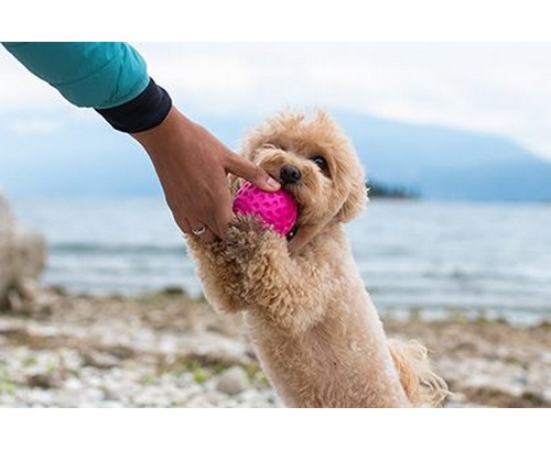 Kiwi Walker Let's Play Ball Mini piłka różowa - obrazek 4