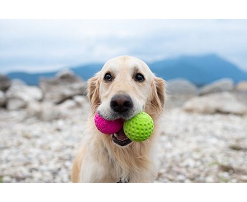Kiwi Walker Let's Play Ball Mini piłka różowa - obrazek 5