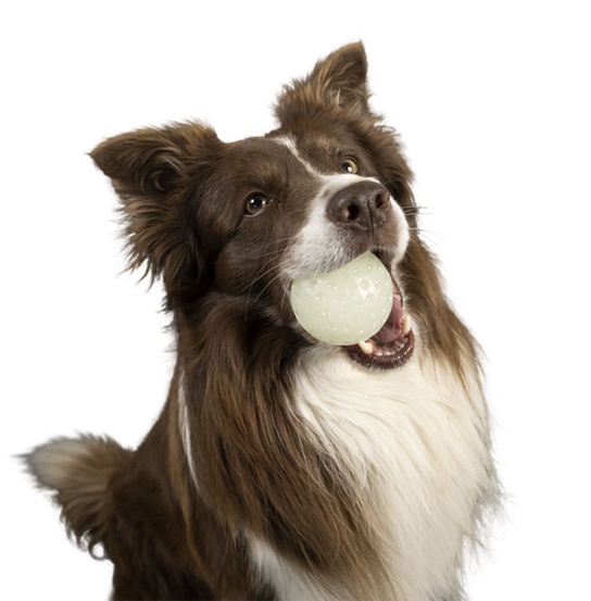 Kiwi Walker Let's Play Glow Ball Mini piłka - obrazek 2