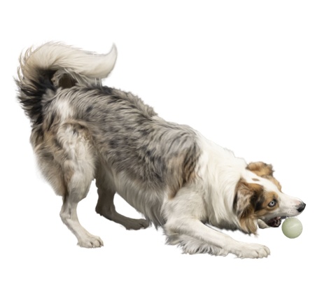 Kiwi Walker Let's Play Glow Ball Mini piłka - obrazek 3