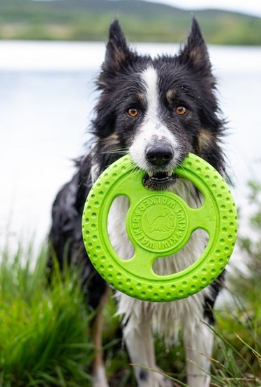 Kiwi Walker Let's Play Frisbee Mini różowe - obrazek 3