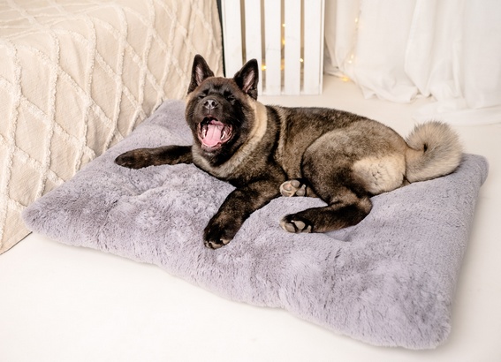 MIMIKO Pets Legowisko Shaggy prostokątne XXL 115x75cm szare - obrazek 2