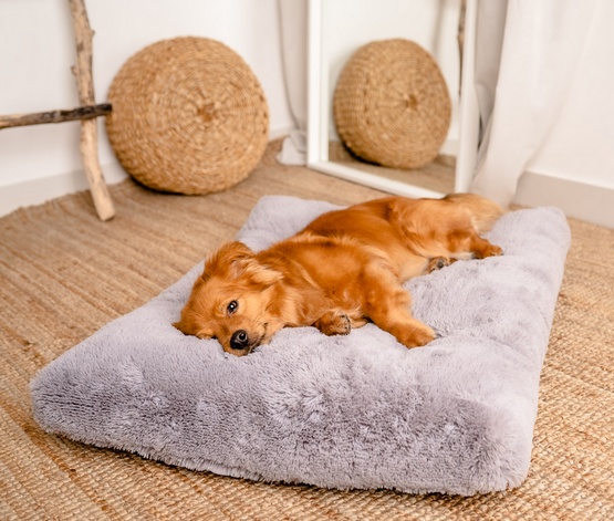 MIMIKO Pets Legowisko Shaggy prostokątne XL 85x65cm szare - obrazek 2