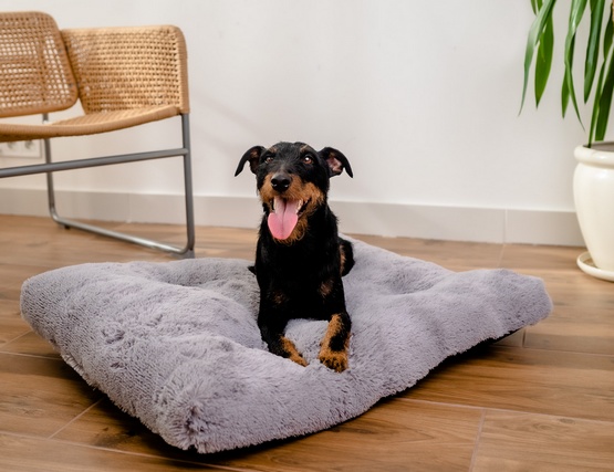 MIMIKO Pets Legowisko Shaggy prostokątne XL 85x65cm szare - obrazek 3
