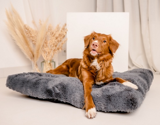 MIMIKO Pets Legowisko Shaggy prostokątne XL 85x65cm grafitowe - obrazek 2