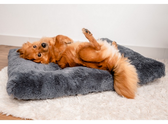 MIMIKO Pets Legowisko Shaggy prostokątne XL 85x65cm grafitowe - obrazek 3