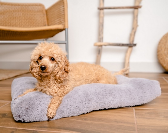 MIMIKO Pets Legowisko Shaggy prostokątne L 65x45cm szare - obrazek 2