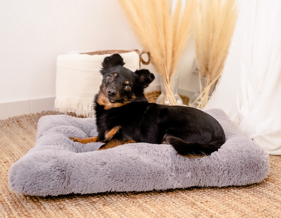 MIMIKO Pets Legowisko Shaggy prostokątne L 65x45cm szare - obrazek 3