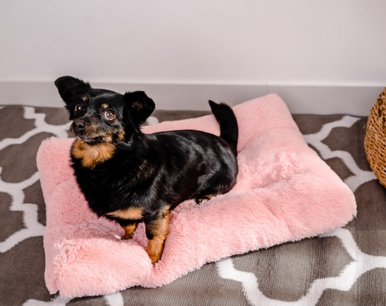 MIMIKO Pets Legowisko Shaggy prostokątne L 65x45cm różowe - obrazek 3