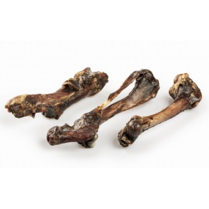 Balto Kość dzika 1szt