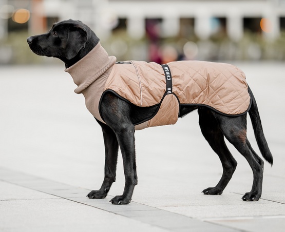 Chaba Kubrak Regulowany Chic L beige - obrazek 7