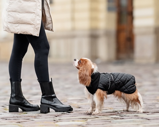 Chaba Kubrak Regulowany Chic L black - obrazek 8