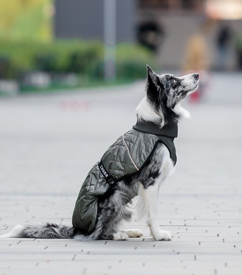 Chaba Kubrak Regulowany Chic 2XL khaki - obrazek 6