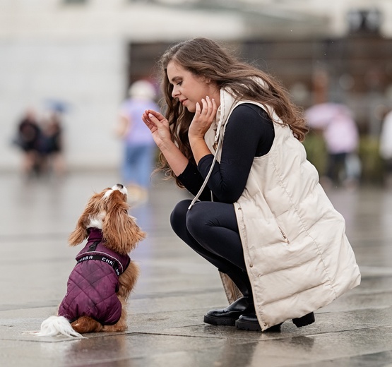 Chaba Kubrak Regulowany Chic 3XL burgundy - obrazek 8