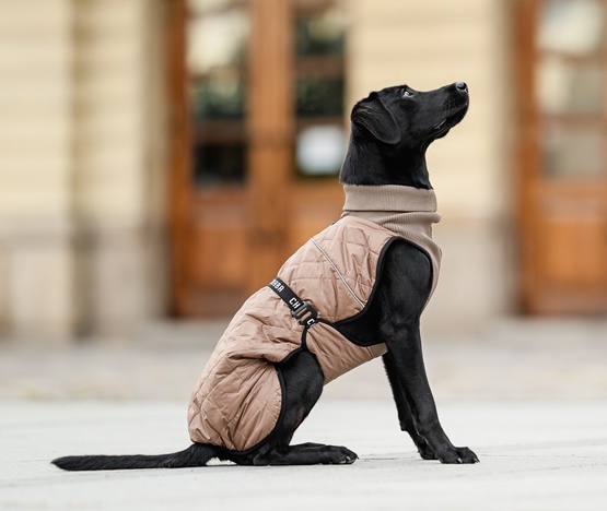 Chaba Kubrak Regulowany Chic 4XL beige - obrazek 5