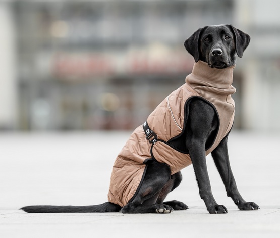 Chaba Kubrak Regulowany Chic 4XL beige - obrazek 6