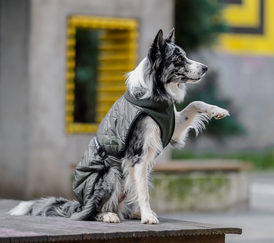 Chaba Kubrak Regulowany Chic 4XL khaki - obrazek 7