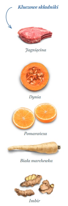 Amanova Dog Adult Mini Sensitive Delicious Lamb - jagnięcina 2kg - obrazek 4