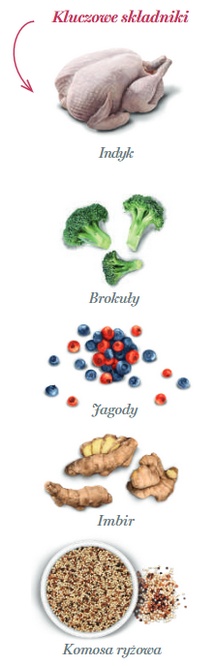 Amanova Dog Adult Mini Obesity Turkey Delight - indyk 2kg - obrazek 3