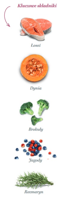 Amanova Dog Adult Mini Sensitive Salmon Deluxe - łosoś 2kg - obrazek 4