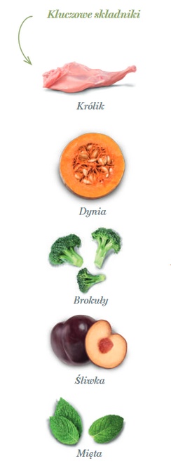 Amanova Cat Adult Divine Rabbit - królik 1,5kg - obrazek 4