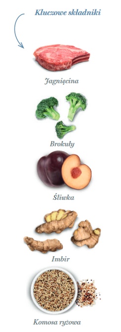 Amanova Cat Sterilised Delicious Lamb - jagnięcina 300g - obrazek 4