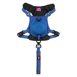 Zolux Szelki ze smyczą automatyczną Easyride S niebieskie