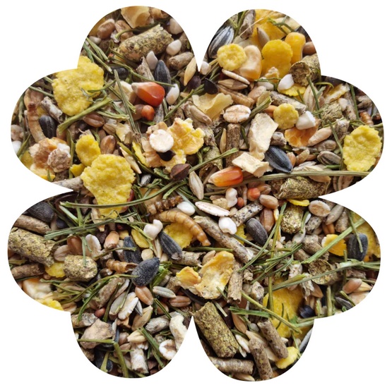 Alegia Enjoy Chomik 400g - obrazek 2