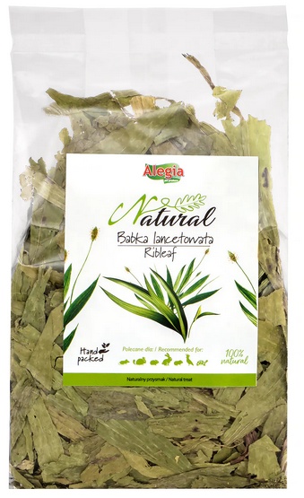 Alegia Babka lancetowata 100g - obrazek 2