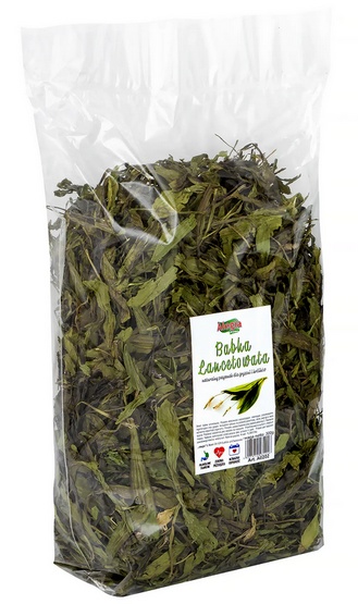 Alegia Babka lancetowata 300g - obrazek 2