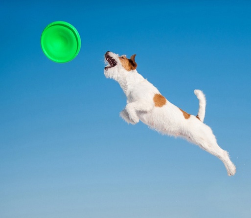 Collar Flyber Latający spodek 22cm jasnozielony - obrazek 6